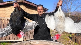 Tandoori Turkey Recipe  How to cook thanksgiving turkey perfectly  Wilderness Cooking Recipes [upl. by Anora]