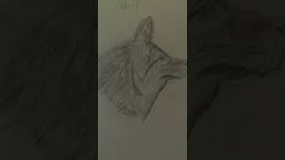 Wolf sketching inspired by cartooningclubhowtodraw [upl. by Neumeyer]