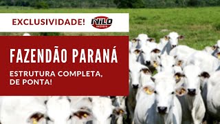 Fazenda a venda no Paraná  Exclusividade [upl. by Wilmott629]