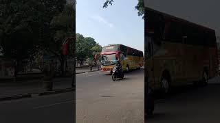 Arimbi teloletan shorts trending viralvideo busmania [upl. by Oirevlis]