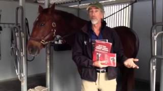 Will Faerbers Book Club If Horses Could Speak [upl. by Cate]