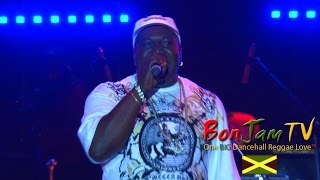 Wicked Barrington Levy Live Medley [upl. by Gregorio55]