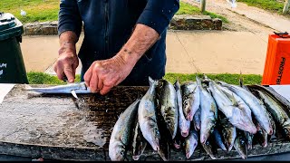 How to Fillet Skin amp Clean King George Whiting [upl. by Blanch]