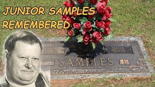 Remembering Junior Samples from Hee Haw [upl. by Neidhardt]