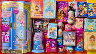 ASMR NEW Disney Princess Royal Fashion Reveal Cinderella Doll 2024  Mystery Blind Boxes [upl. by Ydarb]