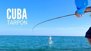 Fly Fishing Cuba for Tarpon [upl. by Vaasta]