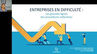 Entreprise en difficulté les grandes lignes des procédures collectives [upl. by Marinelli]