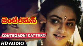 Gentleman Songs  KONTEGADNI KATTUKO song  Arjun  Madhubala  Telugu Old Songs [upl. by Tala793]