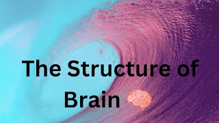 The Structure of Brain [upl. by Htebi]