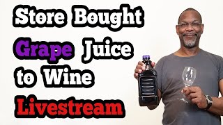 Making Store Bought Grape Juice Wine 1 Gallon [upl. by Vikky]