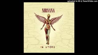 Nirvana  HeartShaped Box [upl. by Ahsilram]