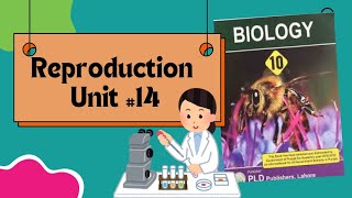 Development and structure of seed  Parts of seeds Reproduction Unit14 class 10th Biology [upl. by Sined]