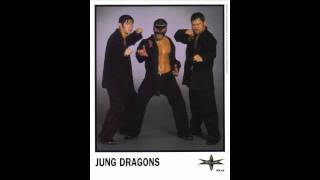 The Jung Dragons  Theme [upl. by Asirb]