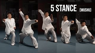 5 Stance on the Spot  Wu Bu Quan『五步拳』 with Master Tang [upl. by Enelyaj]