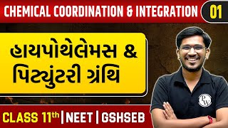 CHEMICAL COORDINATION AND INTEGRATION 01  હાયપોથેલેમસ amp પિટ્યુંટરી  Zoology  Class 11thNEET [upl. by Skipp327]