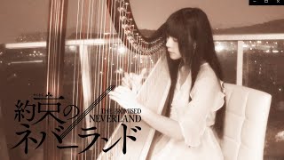 The Promised Neverland OST Isabella‘s Lullaby （Harp cover） [upl. by Oneal]