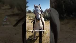 Ovaherero horse parade [upl. by Lynea403]