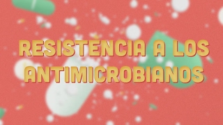 La agricultura en la prevención del desarrollo de la resistencia a los antimicrobianos [upl. by Vadnee474]