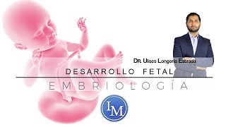 Embriología  Desarrollo Fetal  Resumen [upl. by Iaras]