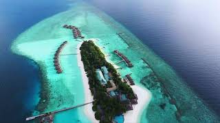 Veligandu Island Resort amp Spa Maldives  View From Drone best price in description [upl. by Ohcamac186]