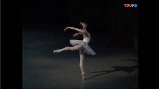 swan lake act 2 mariinsky ballet [upl. by Flory]