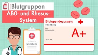 Blutgruppen  AB0 und RhesusSystem einfach erklärt [upl. by Atinna907]