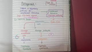 C3 Glomerulopathy  C3 Glomerulonephritis and Dense Deposit Disease [upl. by Tracey213]