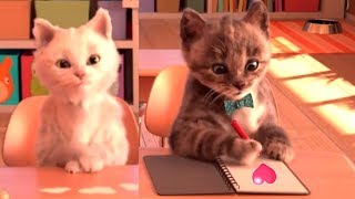 Little Kitten My Favorite Cat Pet Care Kids Games  Baby Learn Colours With Little Kitten Preschool [upl. by Mitchiner]