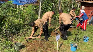 Tanam Pohon Hari Cinta Puspa di Wonosalam Jombang [upl. by Melanie870]