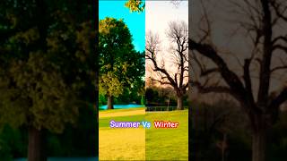 Summer vs Winter 😍😍😍shortsfeednaturebeautifulsummerwinter [upl. by Mcclenon610]