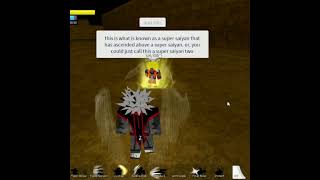 This Is the BIGGEST Goku Fan On Roblox [upl. by Iderf155]