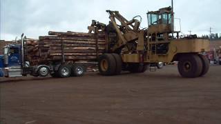 98000 LB LOG TRUCK OFFLOADED AT MILL 30 TONS OF LOGS [upl. by Zoe]