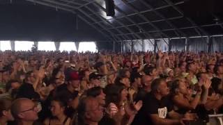 André Brasseur amp Band  Early Bird  Live at Pukkelpop 2016 [upl. by Embry420]