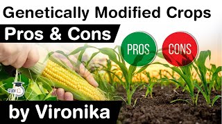 Genetically Modified Crop explained  What are the PROS amp CONS of GM Crop UPSC IAS [upl. by Alexina]