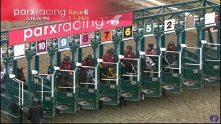 Laughlin007s Picks For The 2024 G1 Cotillion Pennsylvania Derby Greenwood And More At Parx Racing [upl. by Woodward]