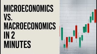 Microeconomics vs Macroeconomics in 2 Minutes [upl. by Tnayrb611]