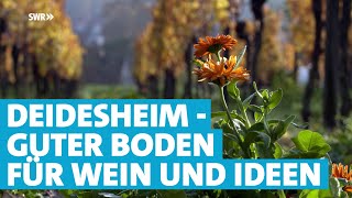 Wein inspiriert  Frische kreative Ideen aus Deidesheim [upl. by Violante]