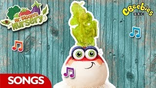 CBeebies Mr Blooms Nursery  Meet The Veggies Song [upl. by Anirhtak]