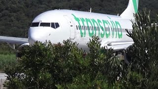 Transavia B737 Takeoff from SKIATHOS AIRPORT with ATC Comms and spotters jetblasted behind [upl. by Lynden]