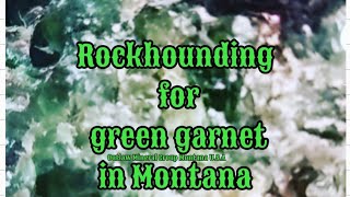 Rockhounding for green Uvarovite in Montana [upl. by Akilaz]