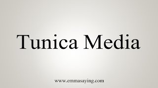 How To Say Tunica Media [upl. by Idnis]