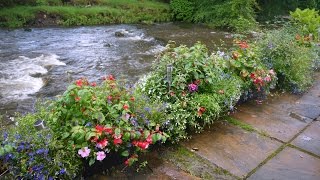 Glascoed Beddgelert Wales [upl. by Lorilee]