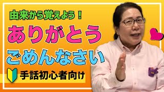 【由来から覚える手話】「ありがとう」と「ごめんなさい」を一緒に覚えよう♡超初心者向け [upl. by Nassir]