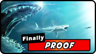 Megalodon Sharks Are Alive New Footage amp Scientific Evidence Must Watch  Absolute Nature [upl. by Namharludba]