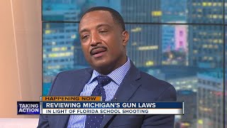 What to know about Michigans Gun Laws [upl. by Anigger]