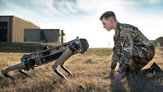 The most dangerous AI robots are more hidden Beyond Boston Dynamics [upl. by Olzsal]