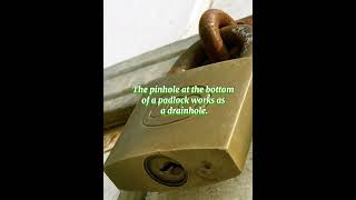 why do have a small hole in padlocks padlock shorts youtubeshorts [upl. by Kotta427]