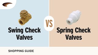 Differences Between Swing Check Valves and Spring Check Valves [upl. by Eseerehs521]