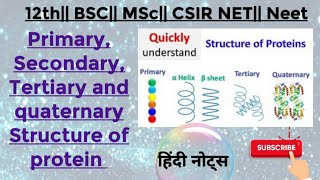 Priimary Secondary Tertiary and quaternary structure of proteins MSc zoology 1St semesterNotes [upl. by Yllil34]