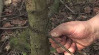 Bushcraft How To Tie A Taut Tarp Hitch [upl. by Leugar]